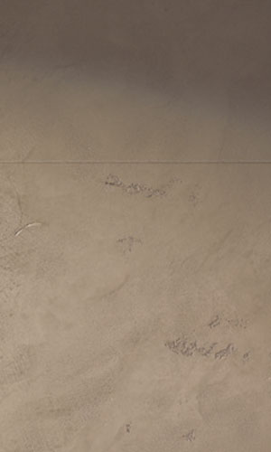 Prestigious Painting - Contemporary Finishes - Cemento Naturale 03 Prestigious Painting - Contemporary Finishes - Cemento Naturale